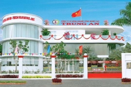 Vì sao kiểm toán từ chối kết luận báo cáo tài chính bán niên của TAR?