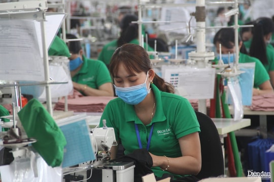 Nâng cao chất lượng quản trị môi trường để phát triển bền vững