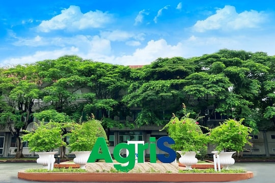 TTC AgriS tiếp tục lọt Top 50 Công ty niêm yết tốt nhất do Forbes Việt Nam bình chọn