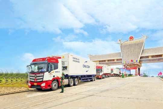 THILOGI đẩy mạnh dịch vụ xuất khẩu sầu riêng chính ngạch qua cảng Chu Lai