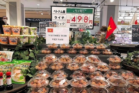 Còn nhiều dư địa cho doanh nghiệp Việt tại thị trường Nhật Bản