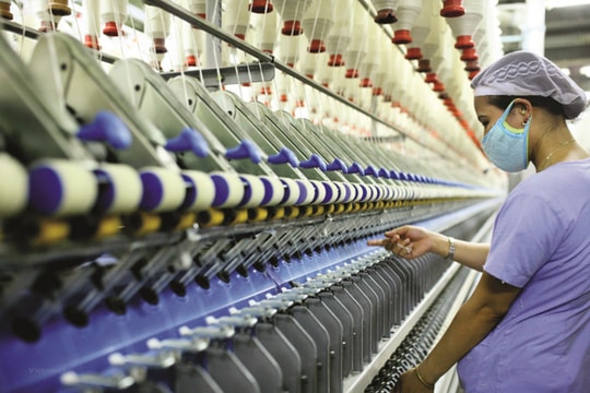 Cần cơ chế quản trị rủi ro trong doanh nghiệp nhà nước