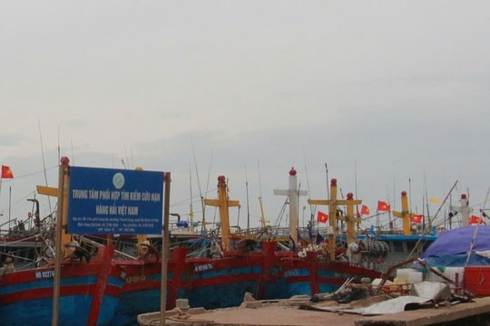 Nam Định: Đưa giải pháp quyết liệt để gỡ "thẻ vàng"