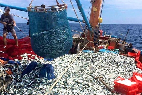 Cảnh báo IUU - Sắp đến giờ “G”