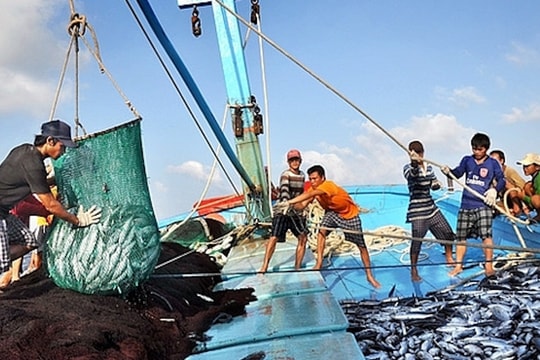 Gỡ “thẻ vàng” IUU: Quyết liệt chặng “nước rút”