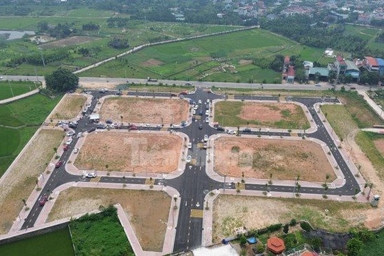 Đấu giá đất - cắt cành cho cò đất hết chỗ đậu