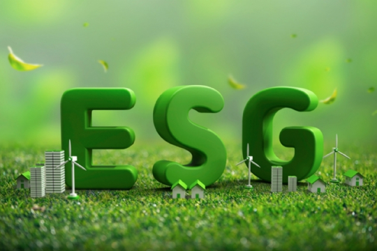 Vì sao các doanh nghiệp SME nên thực hiện báo cáo ESG?