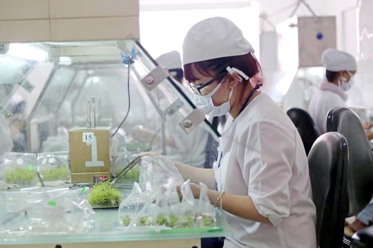 Cần chính sách đồng bộ để bảo tồn và phát triển nguồn gen