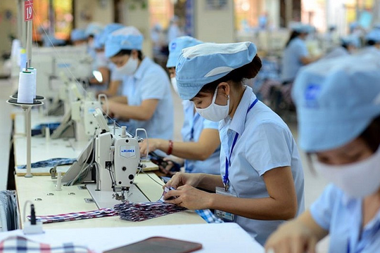 Xanh hóa ngành dệt may đáp ứng tiêu chuẩn thị trường và thúc đẩy năng suất