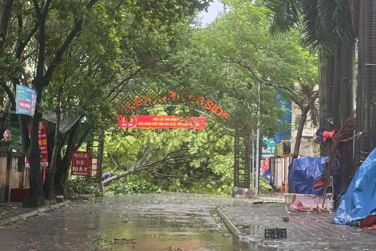 Doanh nghiệp ngành điện phải khắc phục sự cố, cung cấp điện trở lại ngay sau bão số 3