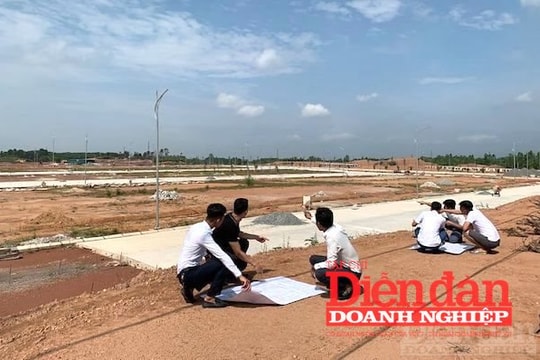Đất đấu giá cao bất thường do đâu?