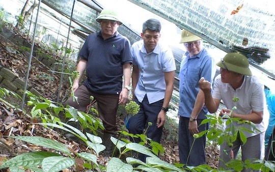 Huyện Tuần Giáo - Điện Biên: Tạo lập môi trường đầu tư kinh doanh thông thoáng