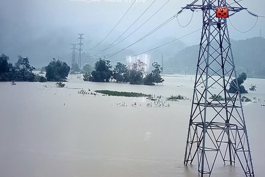 Mưa lũ và sạt lở đất ảnh hưởng nghiêm trọng đến hệ thống lưới điện