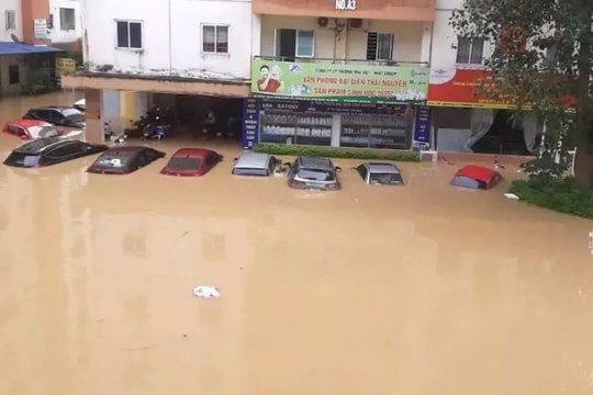 Doanh nghiệp bảo hiểm chịu tác động ra sao do bão số 3?