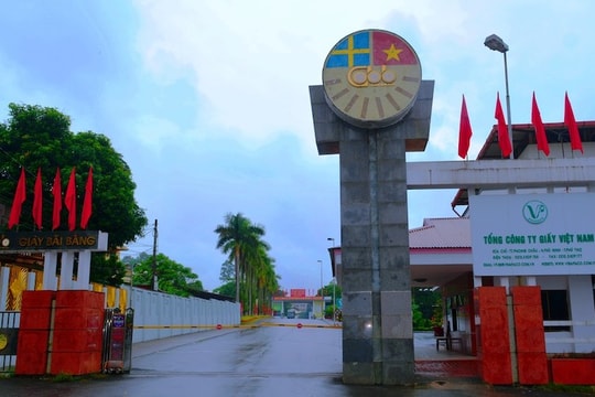 97 doanh nghiệp nông, lâm nghiệp chậm sắp xếp, đổi mới vì đất đai