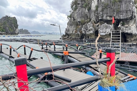 Doanh nghiệp nông nghiệp “vắng bóng” trong đối tượng hỗ trợ do thiên tai, dịch bệnh