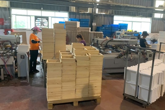 KCN Nam Cầu Kiền: Không để doanh nghiệp đứt gãy chuỗi sản xuất sau bão Yagi