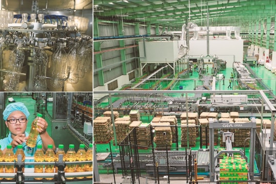 Ngành nước giải khát: Doanh nghiệp nội địa bứt phá vì sự phát triển bền vững