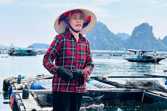 Siêu bão và nước mắt ngư dân Quảng Ninh