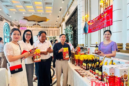 Hải Dương: Hỗ trợ doanh nghiệp ứng dụng nhân tạo và kết nối giao thương