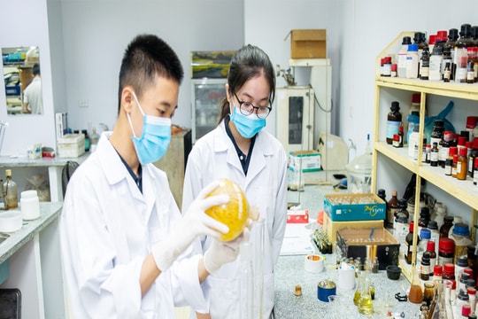Sửa Luật Khoa học và Công nghệ: Gỡ vướng mắc về thể chế