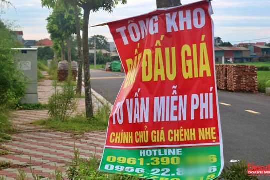 Đấu giá đất ngoại thành Hà Nội tiếp tục "nóng"
