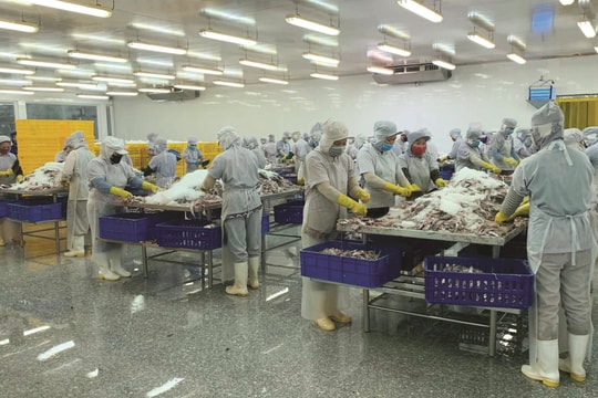 Bình Đại (Bến Tre) tăng tốc phát triển về hướng Đông