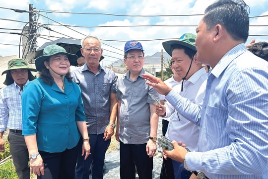 Bến Tre: Thu hút đầu tư vào chế biến thủy sản