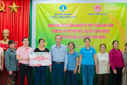 C.P. Việt Nam chung tay hướng về miền Bắc thương yêu