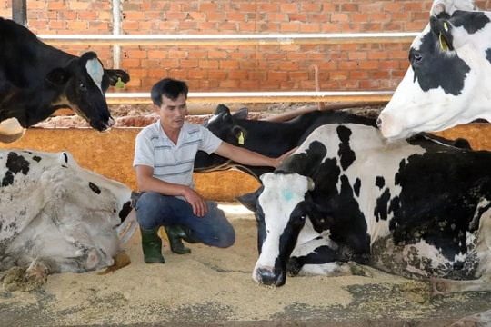 VET gặp khó khăn kép