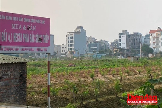 Ngăn chặn bỏ cọc đấu giá đất: Giải pháp từ định giá đất và thuế bất động sản