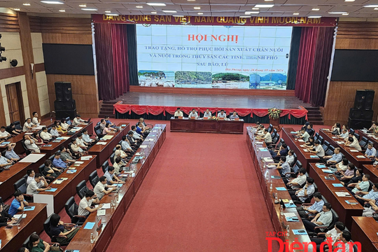 Khôi phục sản xuất chăn nuôi và thuỷ sản sau thiên tai