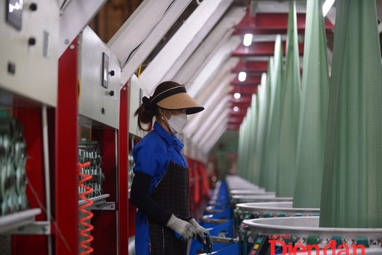 Sửa Luật Thuế thu nhập doanh nghiệp: Cần đảm bảo toàn diện, đồng bộ pháp luật