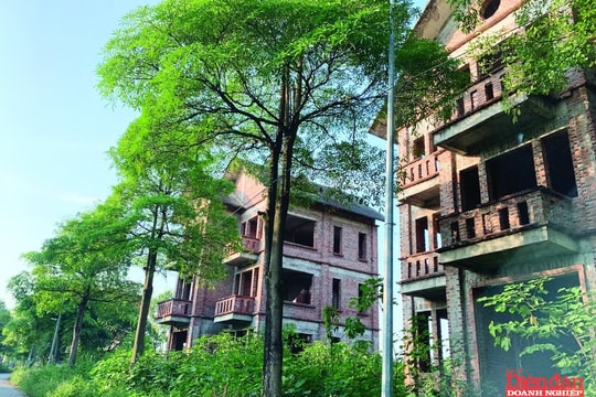 Bộ Tài chính nghiên cứu đánh thuế người sở hữu nhiều nhà đất