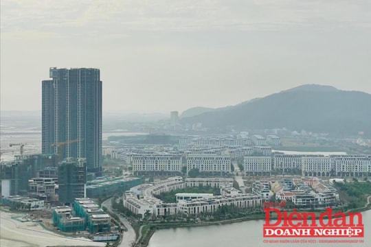 VCCI kiến nghị giảm 30% tiền thuê đất phải nộp cho năm 2024