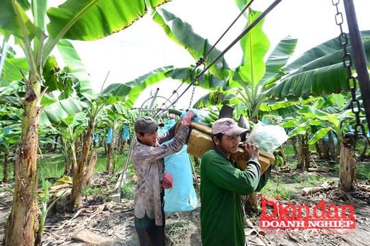 Sửa Luật Thuế thu nhập doanh nghiệp: Cân nhắc ưu đãi thuế công nghệ xanh
