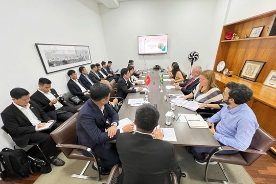 TPHCM và TP São Paulo tăng cường hợp tác ứng phó biến đổi khí hậu