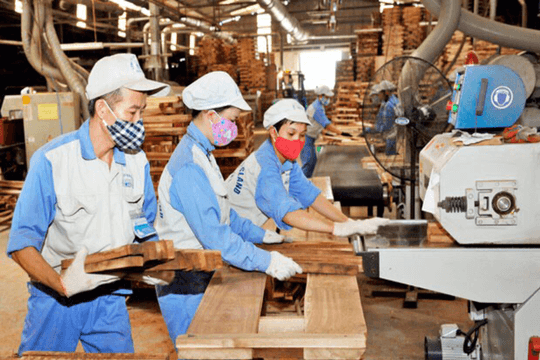 Hoàn thiện pháp lý hỗ trợ doanh nghiệp thích ứng với quy định EUDR