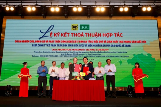 Nâng cao hiệu quả sử dụng phân bón trong canh tác lúa tại ĐBSCL