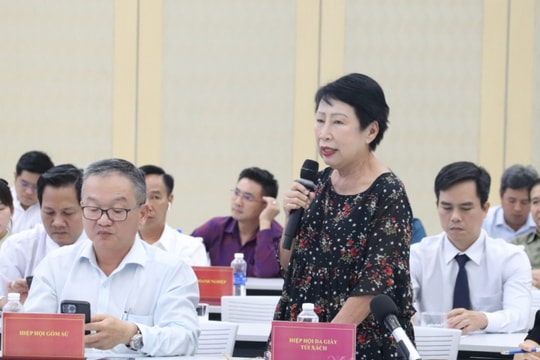 Bình Dương gặp gỡ các hiệp hội ngành hàng và doanh nghiệp đầu tư trong nước