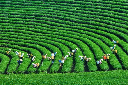 Việt Nam cần có chiến lược thúc đẩy tài chính xanh