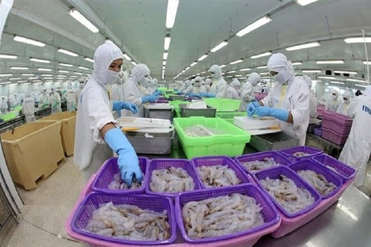 Để FTA thực sự là động lực cho kinh tế Việt Nam