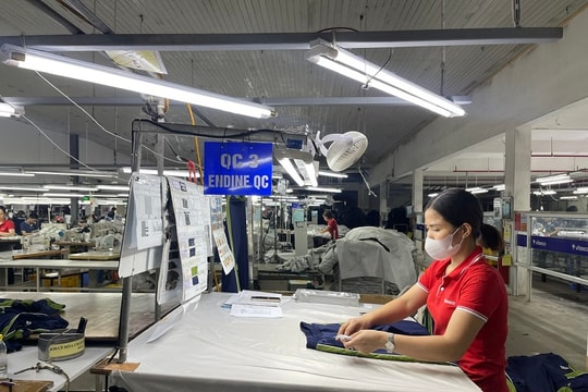 Thái Bình: Dồn lực khảo sát Bộ chỉ số DDCI