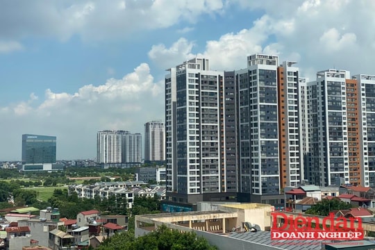 Đẩy mạnh kiểm tra tổ chức thi hành Luật Đất đai tại các địa phương