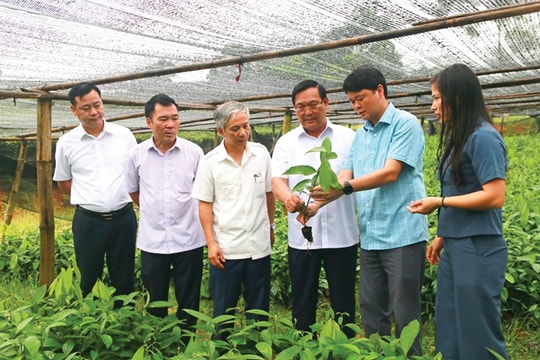 Huyện Định Hóa (Thái Nguyên): Đổi thay từng ngày