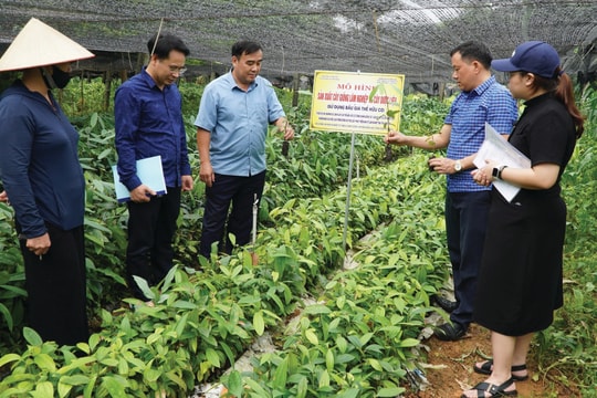Thái Nguyên: Phát triển thị trường khoa học - công nghệ