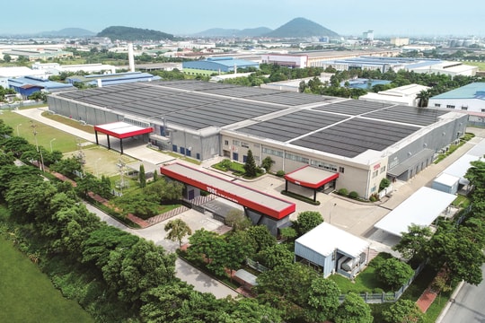 Thuan Thanh Eco-Smart IP Viglacera liên tiếp hút dòng vốn chất lượng