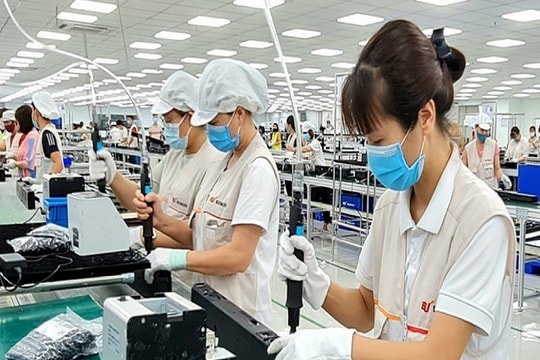 Cần minh bạch thị trường, ổn định chính sách để thu hút đầu tư