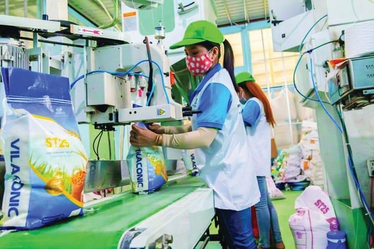 SME Nghệ An “hưởng lợi” từ xúc tiến thương mại