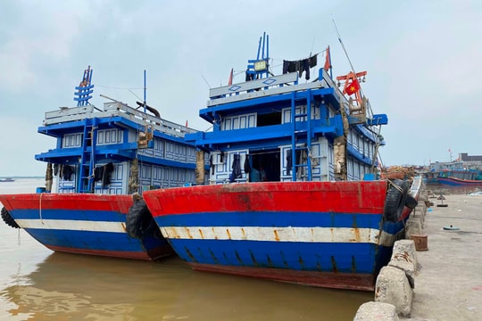 "Gỡ" thẻ vàng IUU: Nhìn thẳng thực tế tại Quảng Trị